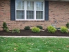 new_planting