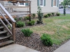 new_planting3