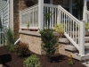 new_planting4